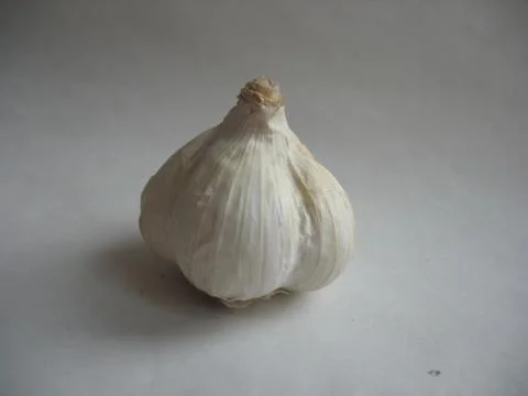 Light head of garlic Stock Photos