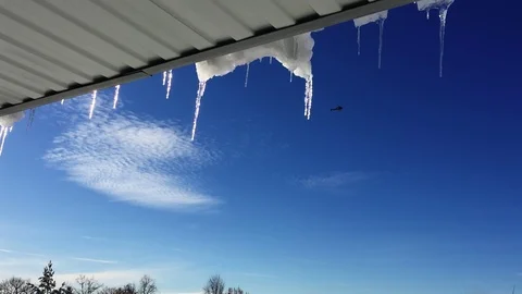 Light helicopter flew by Stock Footage 103196526