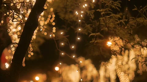 Light With Hexagon Bokeh On The Tree Stock Footage 44382684