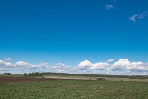 Light hilly landscape with sparse forest and blue sky Foto stock