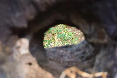 Light hole in the stone Stock Photos