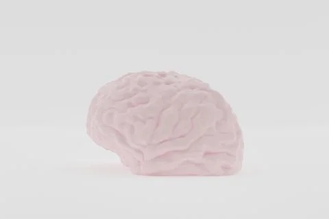 Light human brain model in profile on white background, 3d render Stock Illustration