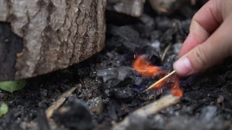 Light up ignite inflame campfire with match Bonfire flames burning slow motion Stock Footage 119233320