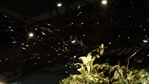Light intensity rain with light at night looks beautiful with tree Stock Footage 311944482