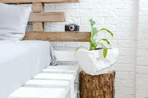 Light interior and white brick wall with retro camera, pillow and small plant Stock Photos