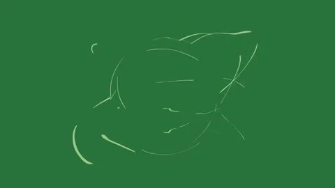 Light on it outline of cat the shape turtle lines circle drawing isolated Stock Footage 336855692
