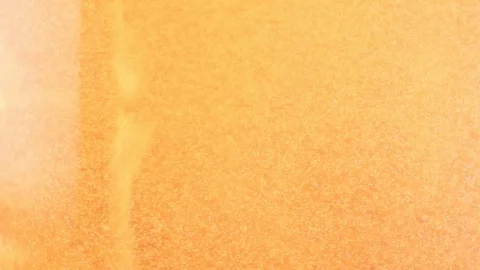 Light Lager Stock Footage 124949996