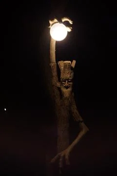 The light of the lamp shines through the branches of a tree. Stock Photos