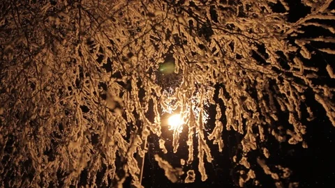 Light lantern through the branches of trees in winter Stock Footage 107676012