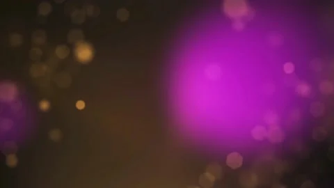 Light leak 14 Stock Footage 220480983