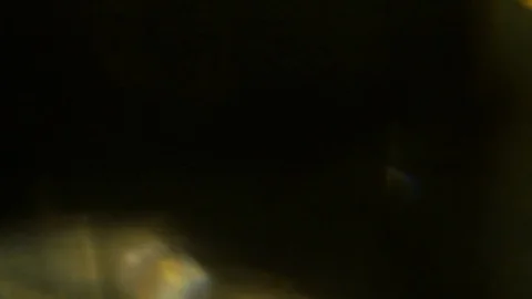 Light leak in 4K quality on dark background with.Real lens flare Stock Footage 83239904