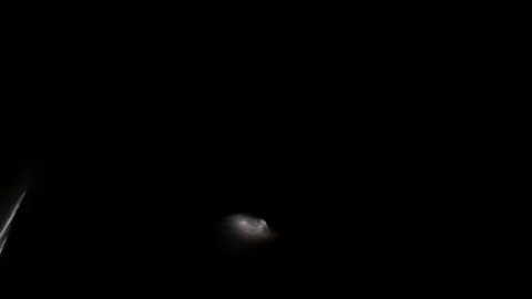 Light leak in 4K quality on dark background with.Real lens flare Stock Footage 88734010