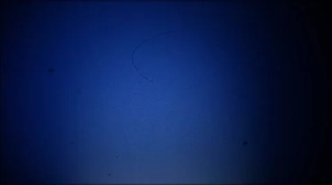 Light Leak blue scratches lighting burn noise effect. Transition light leak. Stock Footage 42291663