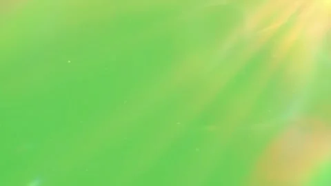 Light Leak Dust Particle Green Screen Background Effect Stockbeeldmateriaal 344761940