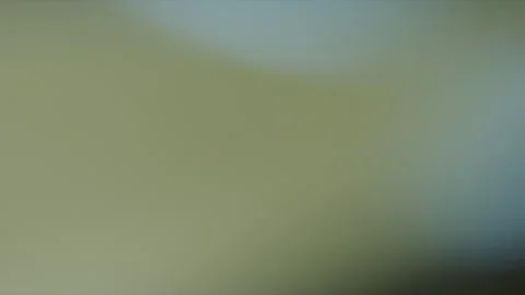 Light Leak Effect Stock Footage 255121899