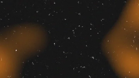 Light leak effects and old film effects with noise on a black background. Stock Footage 335965395