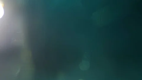 Light Leak Flares Stock Footage 91551285