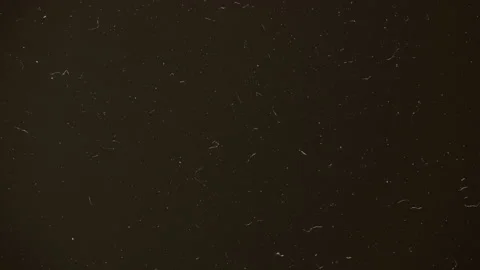 Light Leaks And Dirt Stock Footage 212670139