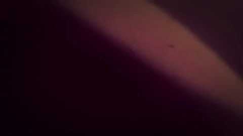 Light Leaks and flares Stock Footage 99510944
