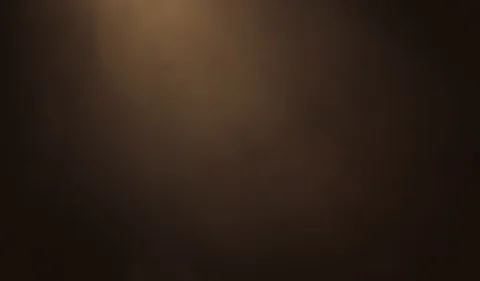 Light Leaks and flares Stock Footage 99511188