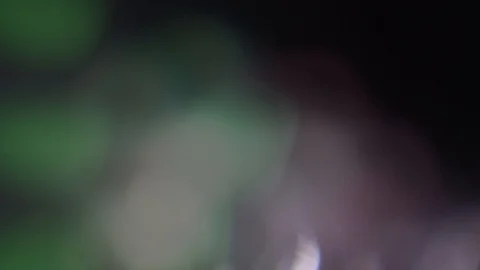 Light Leaks and Transition 4K Footage.  Distortions, Glares, Light leaks, Bokeh. Stock Footage 118609624