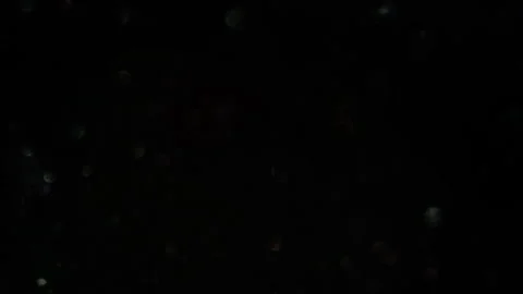 Light leaks, bokeh, black background, Small, Stock-Footage 320651453