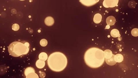 Light Leaks  Bokeh Effect  Overlay For Wedding Stock Footage 169394852