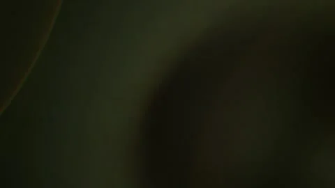 Light leaks effect. Artistic light on a black background Stock Footage 302160953