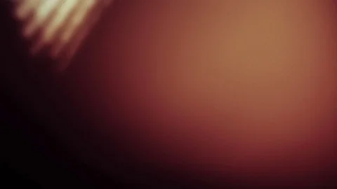 Light leaks lens burn Stock Footage 73956110