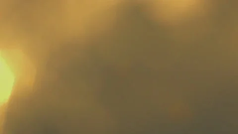 Light leaks for overlay and transition. Vertical movement of light leaks and Stock Footage 169397139