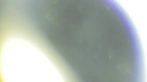 Light leaks package Stock Footage 52182998