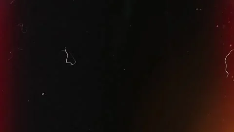 Light Leaks, Transition, Grunge Texture, Lens Flares Stock Footage 326044181