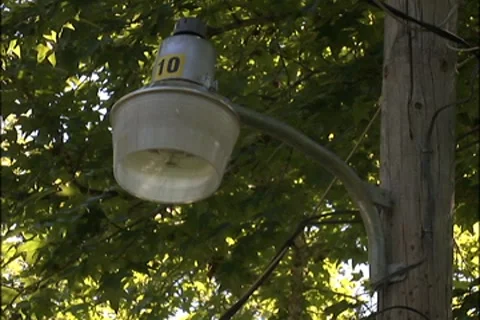 Light lease program Stock-Footage 7812349