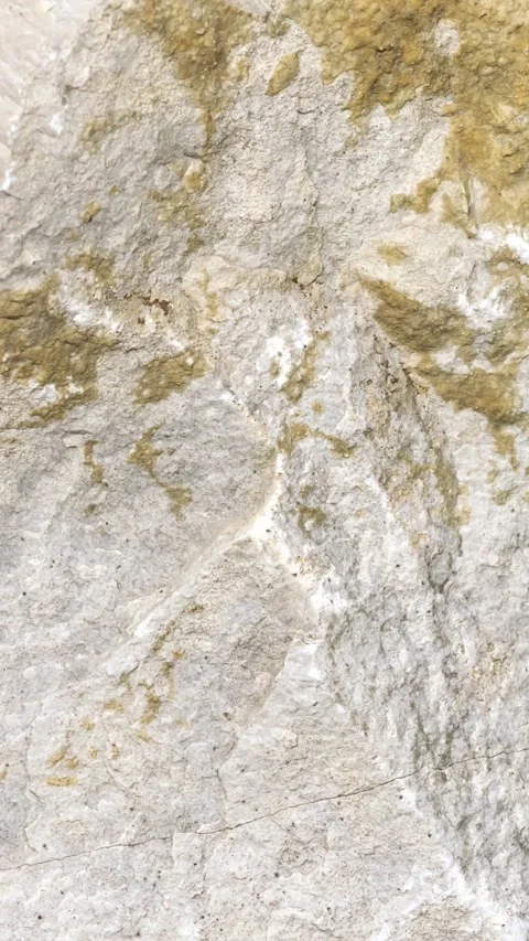 Light limestone with interesting texture visible. background Stock Footage 313879629