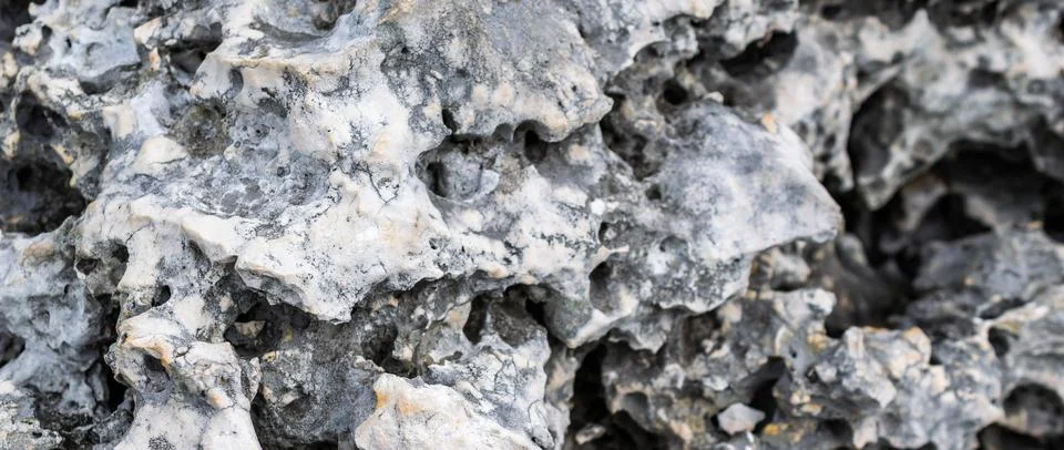 Light limestone with interesting texture visible. background Stock Photos