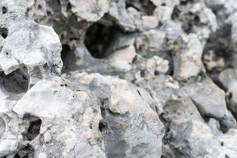 Light limestone with interesting texture visible. background Foto stock