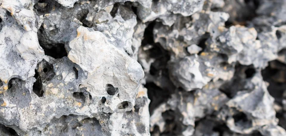 Light limestone with interesting texture visible. background 写真素材