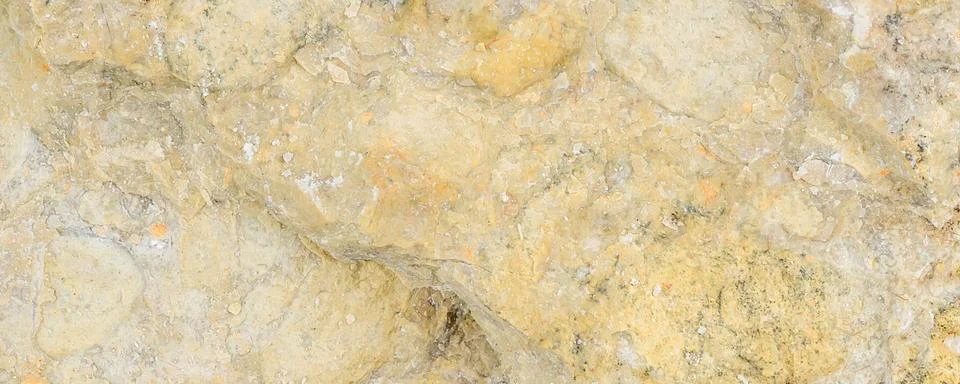 Light limestone with interesting texture visible. background Foto stock