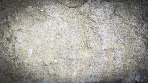 Light limestone with interesting texture visible. background Stock Photos