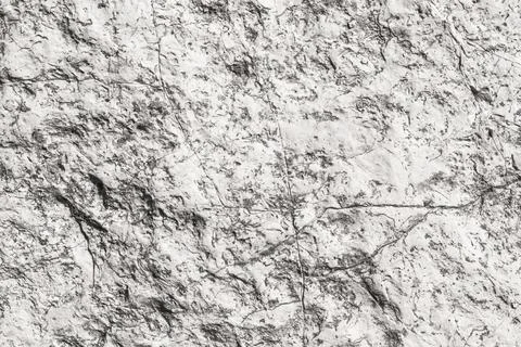 Light limestone with interesting texture visible. background Stock Photos