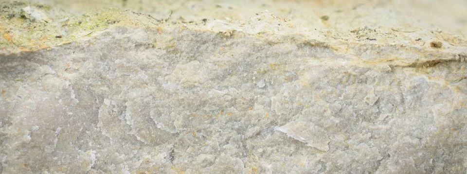 Light limestone with interesting texture visible. background Stock Photos