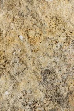 Light limestone with interesting texture visible. background Foto stock