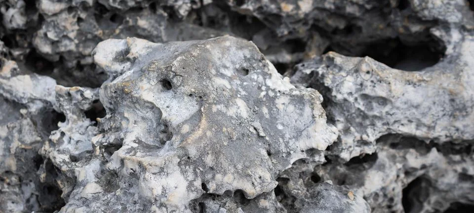 Light limestone with interesting texture visible. background 스톡 사진