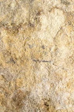 Light limestone with interesting texture visible. background Foto stock