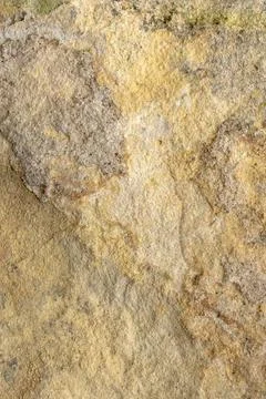 Light limestone with interesting texture visible. background Stock Photos