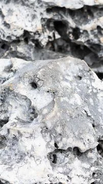 Light limestone with interesting texture visible. background 스톡 사진