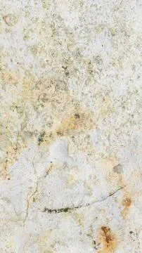 Light limestone with interesting texture visible. background Foto stock