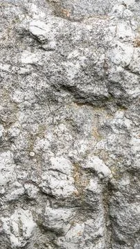Light limestone with interesting texture visible. background 스톡 사진