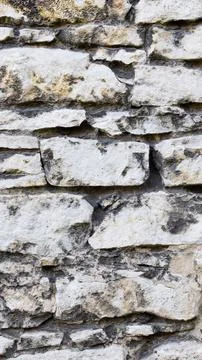 Light limestone with interesting texture visible. background Foto stock