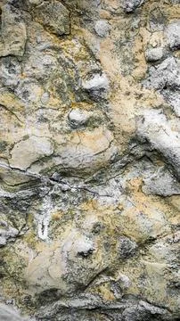 Light limestone with interesting texture visible. background Foto stock
